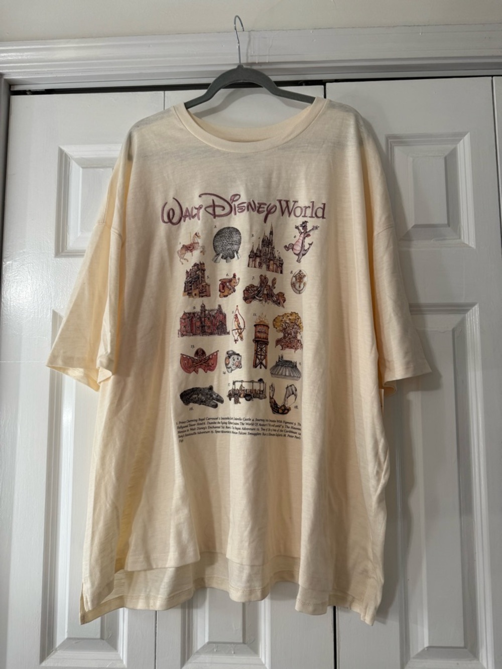 Disney world shirt